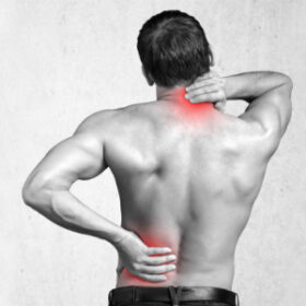 The Best WEBBER Vitamin E Products for Pain Relief