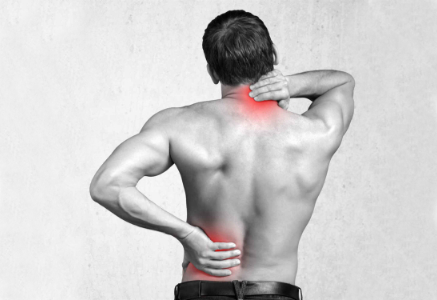 The Best Analsegic Creams WEBBER Activ+ for Pain Relief